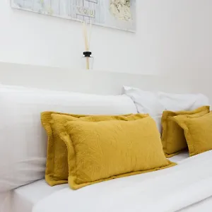 Beguest Cascaes
